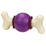 Busy Buddy Bouncy Bone