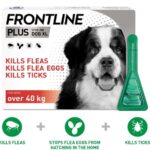 FRONTLINE Plus Flea and Tick Treatment for Extra Large Dogs
