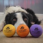 Sportspet Standard High Bounce Balls (3 Pack)